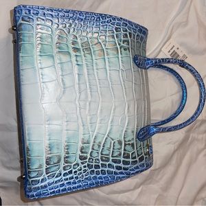 NWT Brahmin Soleil Caroline and matching Ady